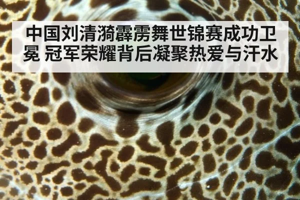 中国刘清漪霹雳舞世锦赛成功卫冕 冠军荣耀背后凝聚热爱与汗水